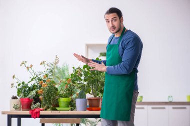 Evin içinde bitkileri olan genç bir erkek bahçıvan.