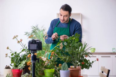 Evin içinde bitkileri olan genç bir erkek bahçıvan.