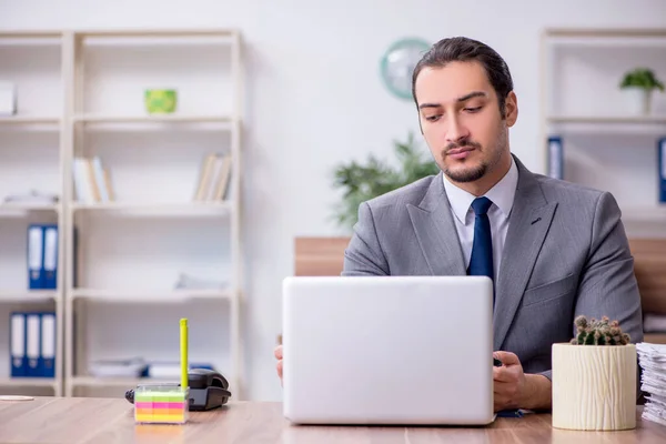 Giovane dipendente maschile che lavora in ufficio — Foto Stock