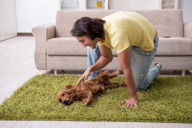 Cocker Spaniel köpeği olan genç bir adam.