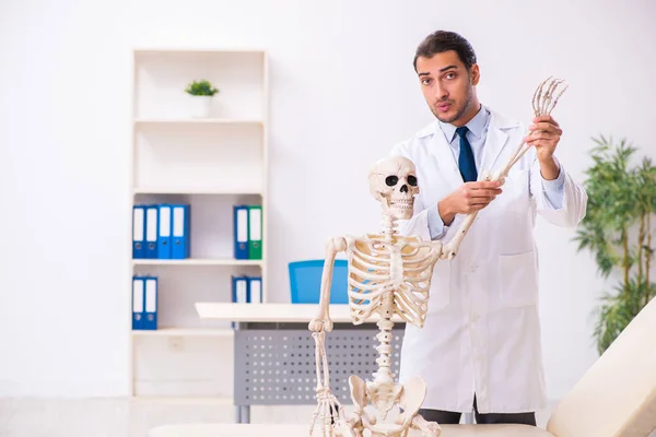 İskeleti olan genç erkek doktor. — Stok fotoğraf