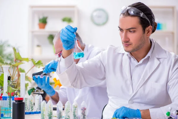 Two chemists working in the lab — Stock Photo, Image