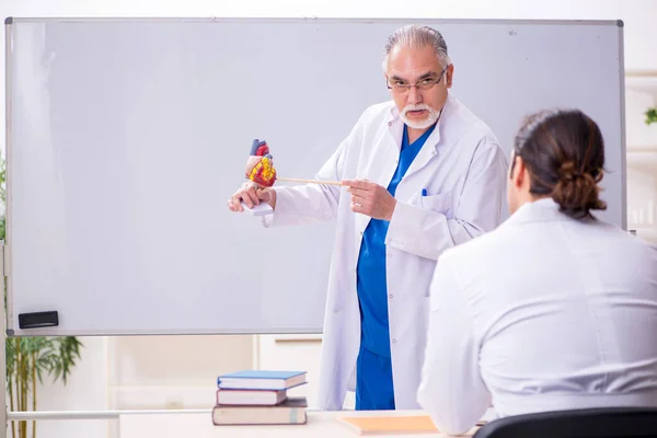 Erfahrener Kardiologe lehrt jungen männlichen Assistenten — Stockfoto