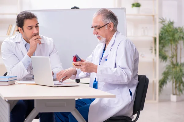Experienced doctor cardiologist teaching young male assistant — Stock Photo, Image