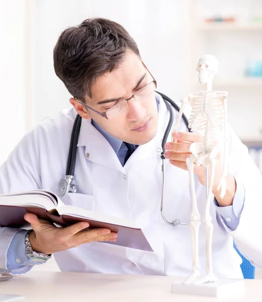 Dokter legt menselijk lichaam op skelet uit — Stockfoto