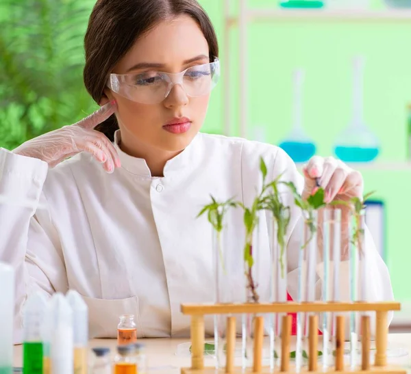 Bela mulher biotecnologia cientista químico trabalhando em laboratório — Fotografia de Stock