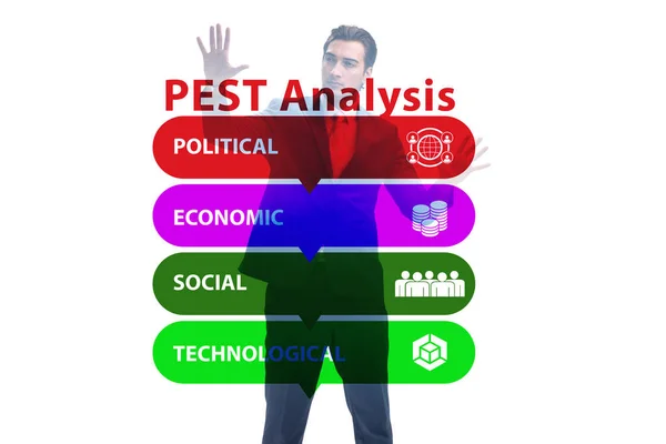 商业人士在PEST分析商业概念 — 图库照片