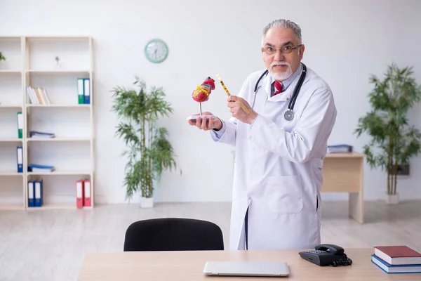 Gammal manlig läkare kardiolog arbetar på kliniken — Stockfoto