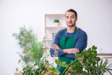 Evin içinde bitkileri olan genç bir erkek bahçıvan.