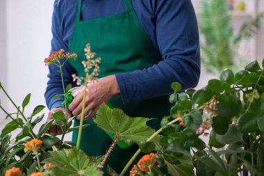Evin içinde bitkileri olan genç bir erkek bahçıvan.