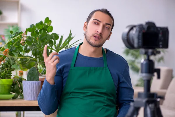Evin içinde bitkileri olan genç bir erkek bahçıvan.