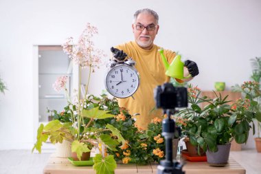 Evin içinde bitkileri olan yaşlı erkek bahçıvan.
