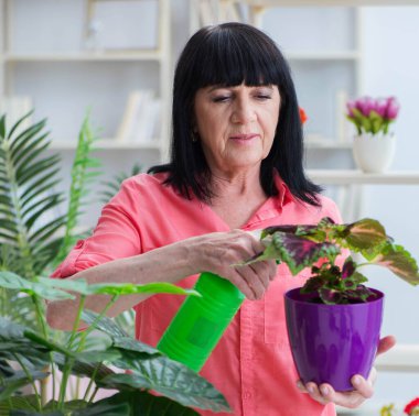 Çiçekçide çalışan kadın.