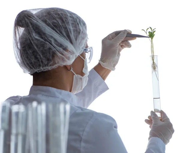 Pesquisadora cientista conduzindo uma experiência em um labora — Fotografia de Stock