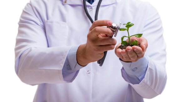 Ученый с зелеными саженцами в стекле изолирован на белом