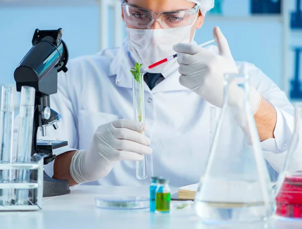 Biotechnologie-Konzept mit Wissenschaftlern im Labor — Stockfoto