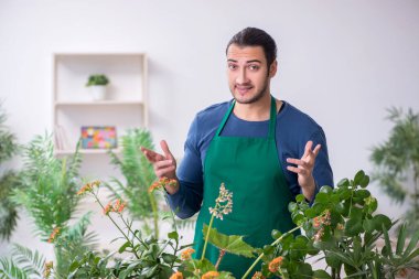 Evin içinde bitkileri olan genç bir erkek bahçıvan.