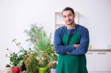 Evin içinde bitkileri olan genç bir erkek bahçıvan.