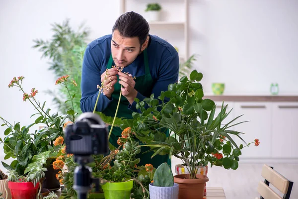 Evin içinde bitkileri olan genç bir erkek bahçıvan.