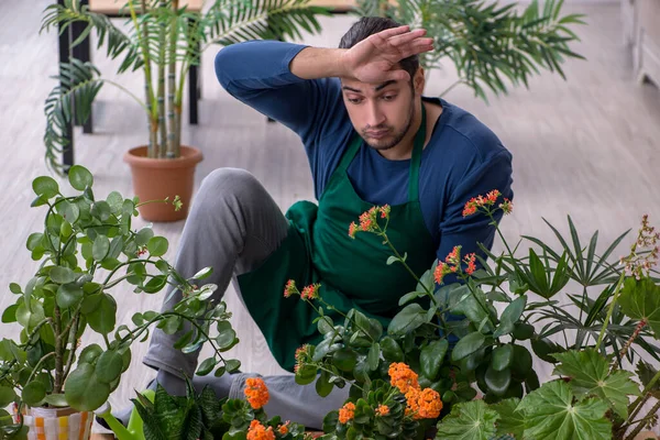 Evin içinde bitkileri olan genç bir erkek bahçıvan.
