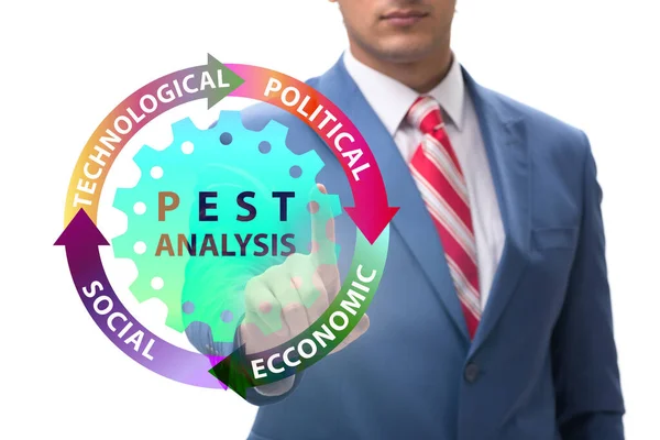 Business people in PEST analysis business concept — Stock Photo, Image