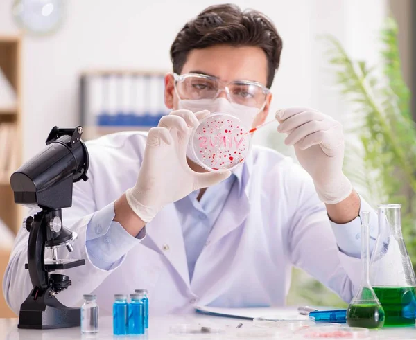 El médico masculino que trabaja en el laboratorio con la vacuna contra el virus —  Fotos de Stock