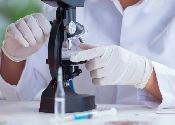 Investigadora científica que realiza un experimento en un labora — Foto de Stock