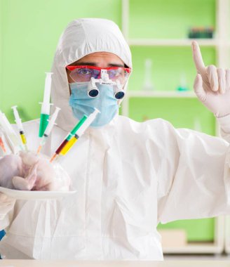 Laboratuvar asistanı GDO tavuğunu test ediyor