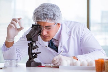 Besin uzmanı gıda ürünlerini laboratuarda test ediyor.