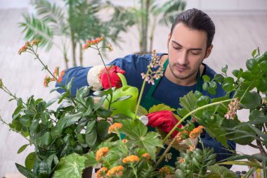 Evin içinde bitkileri olan genç bir erkek bahçıvan.