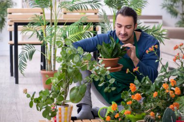 Evin içinde bitkileri olan genç bir erkek bahçıvan.