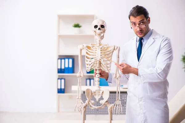 Fiatal férfi orvos csontvázzal — Stock Fotó