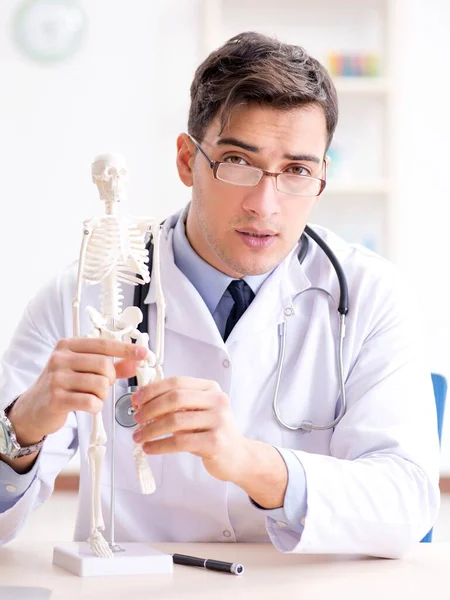 Doctor explicando el cuerpo humano en el esqueleto — Foto de Stock