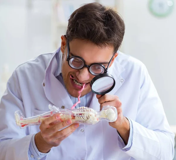 Crazy doctor studying human skeleton