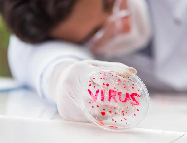 Der männliche Arzt arbeitet im Labor an Virusimpfstoff — Stockfoto