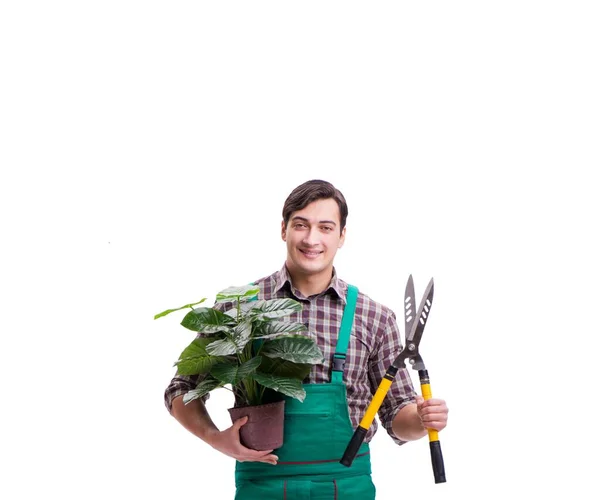 De jonge man tuinman geïsoleerd op wit — Stockfoto