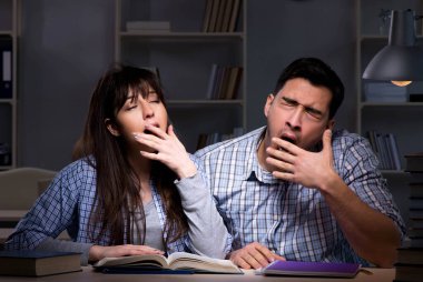 İki öğrenci gece geç saatlere kadar çalışıyor.