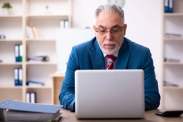 Oude mannelijke werknemer die op kantoor werkt — Stockfoto