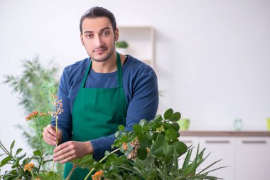 Evin içinde bitkileri olan genç bir erkek bahçıvan.