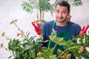 Evin içinde bitkileri olan genç bir erkek bahçıvan.