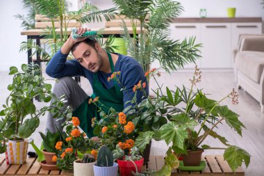 Evin içinde bitkileri olan genç bir erkek bahçıvan.