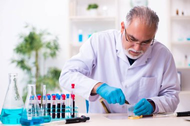 Bilim laboratuarında yılanı tutan yaşlı bir kimyager.