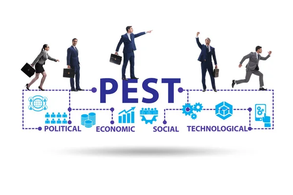 Business people in PEST analysis business concept — Stock fotografie