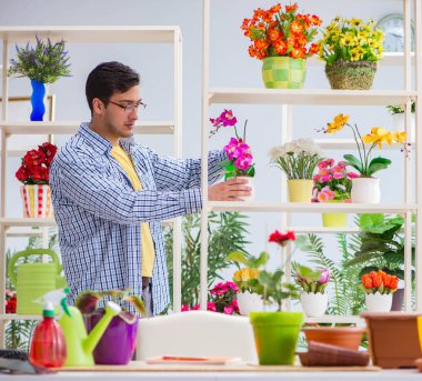 Çiçekçide çalışan genç bir adam.