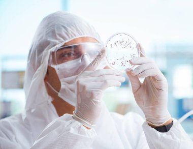 Doktor tıp laboratuarında virüs üzerinde çalışıyor.