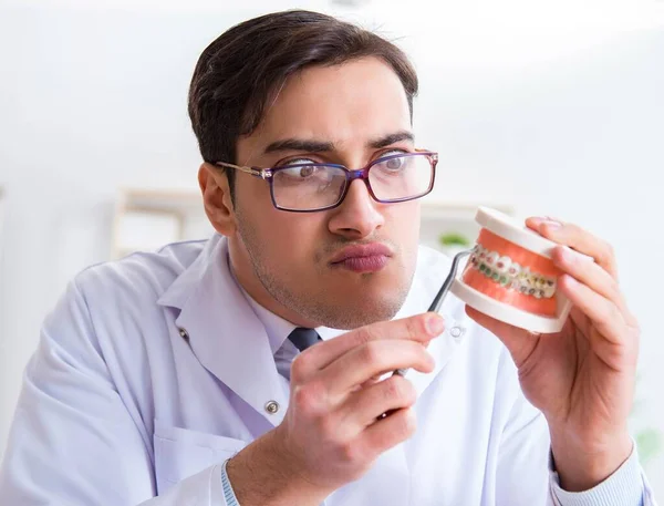 Lustiger Zahnarzt mit Zahnmodell im Krankenhaus — Stockfoto