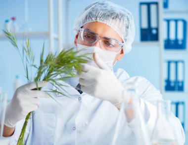 Laboratuvarda bilim adamıyla biyoteknoloji kavramı