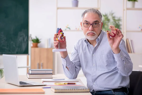 Viejo profesor en el aula — Foto de Stock