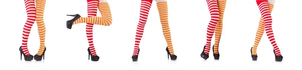 Striped leggings isolated on the white — Stock Photo, Image