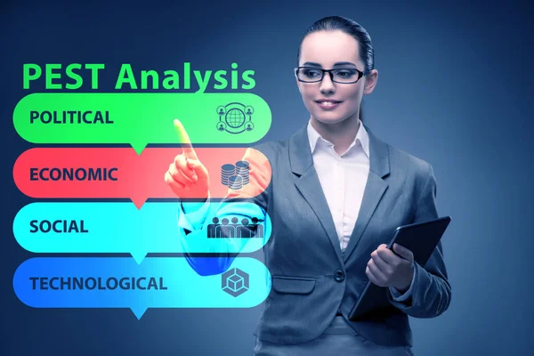 商业人士在PEST分析商业概念 — 图库照片